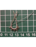 Aretes